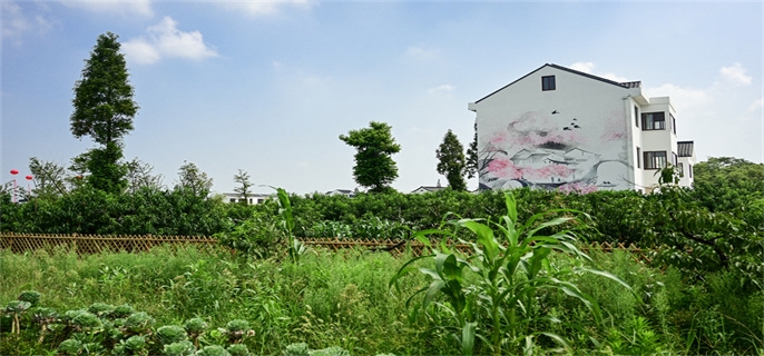 农村办房产证去哪里办理