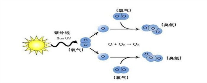 怎样消除甲醛的危害5.jpg